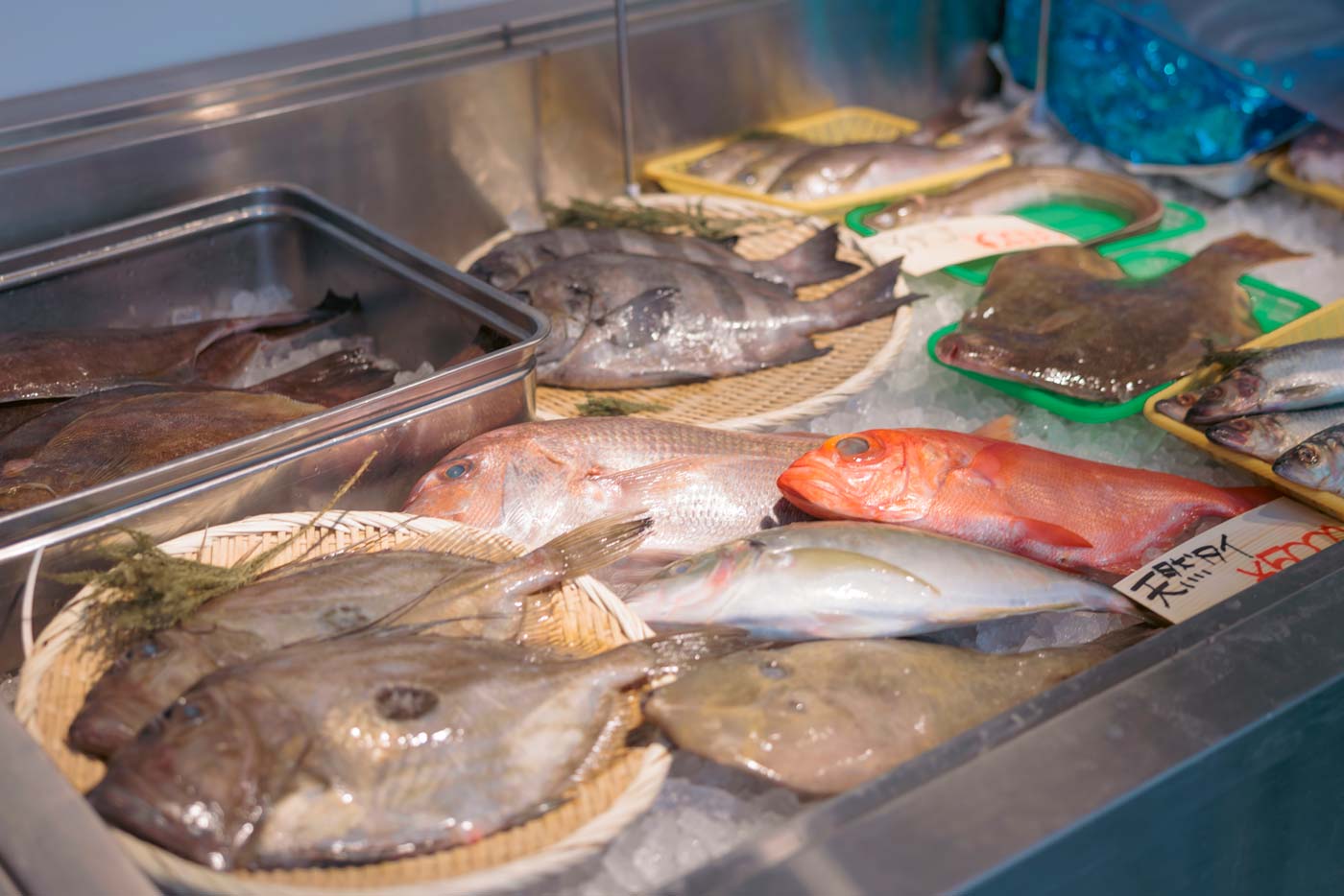 鮮魚 店 札幌